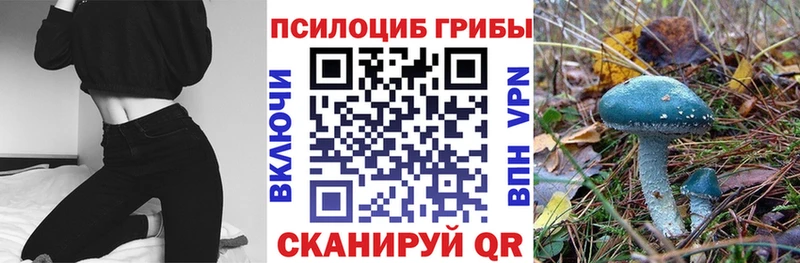 Галлюциногенные грибы Psilocybine cubensis Цоци-Юрт