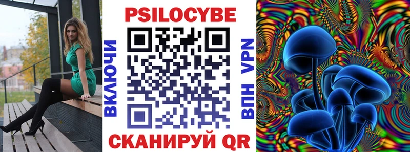 где найти наркотики МЕГА ССЫЛКА Псилоцибиновые грибы мицелий Цоци-Юрт
