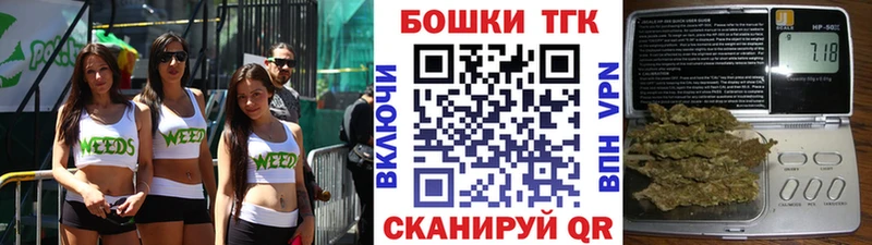 Конопля гибрид Цоци-Юрт